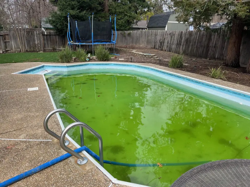 Before: the pool with green, cloudy water and a faded old liner, photographed March 13, 2023