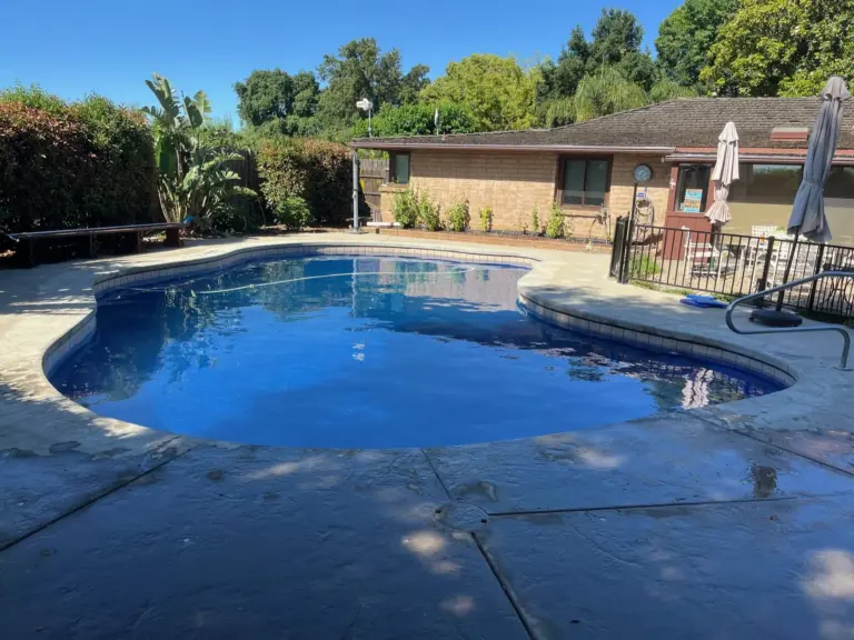Freeform pool with a blue liner, a covered patio and trees behind