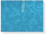 A small hole in the blue liner, found by the detector